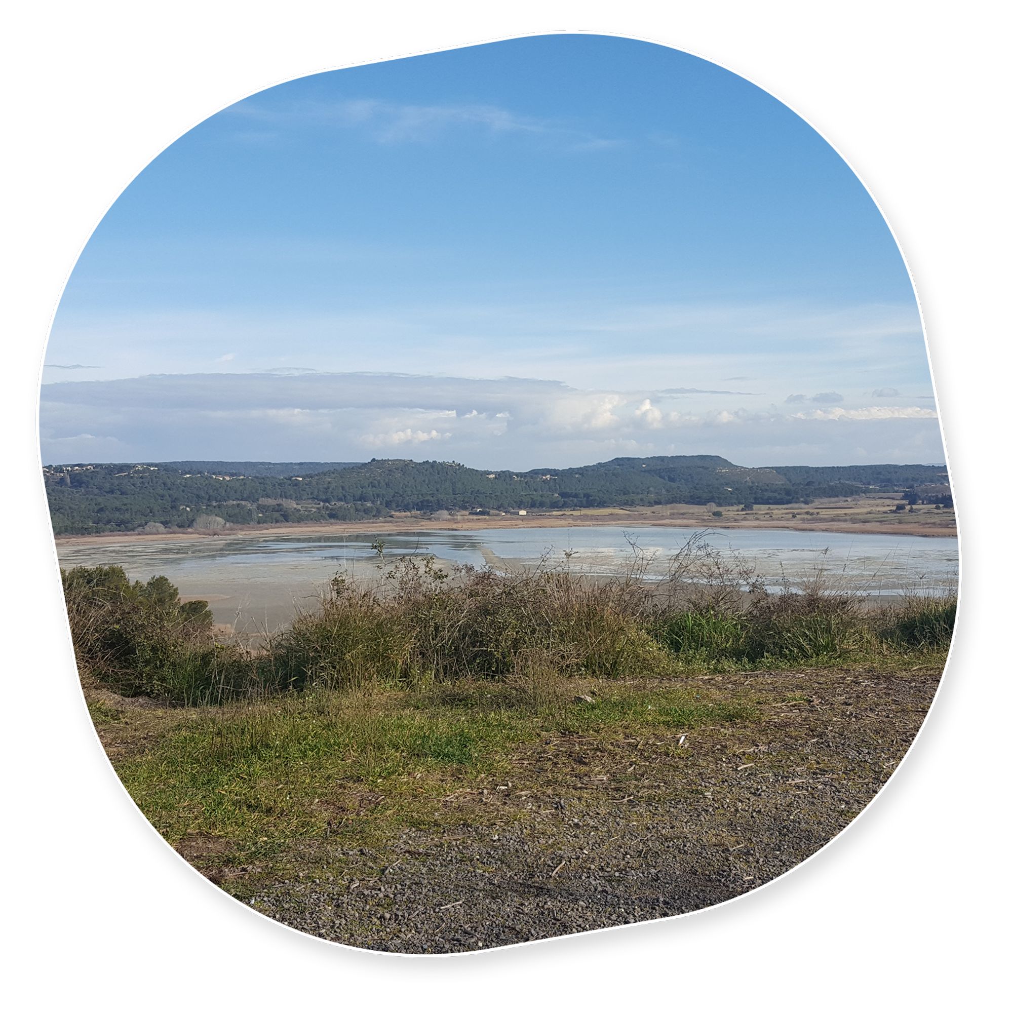 Les projets de l'étang de Berre