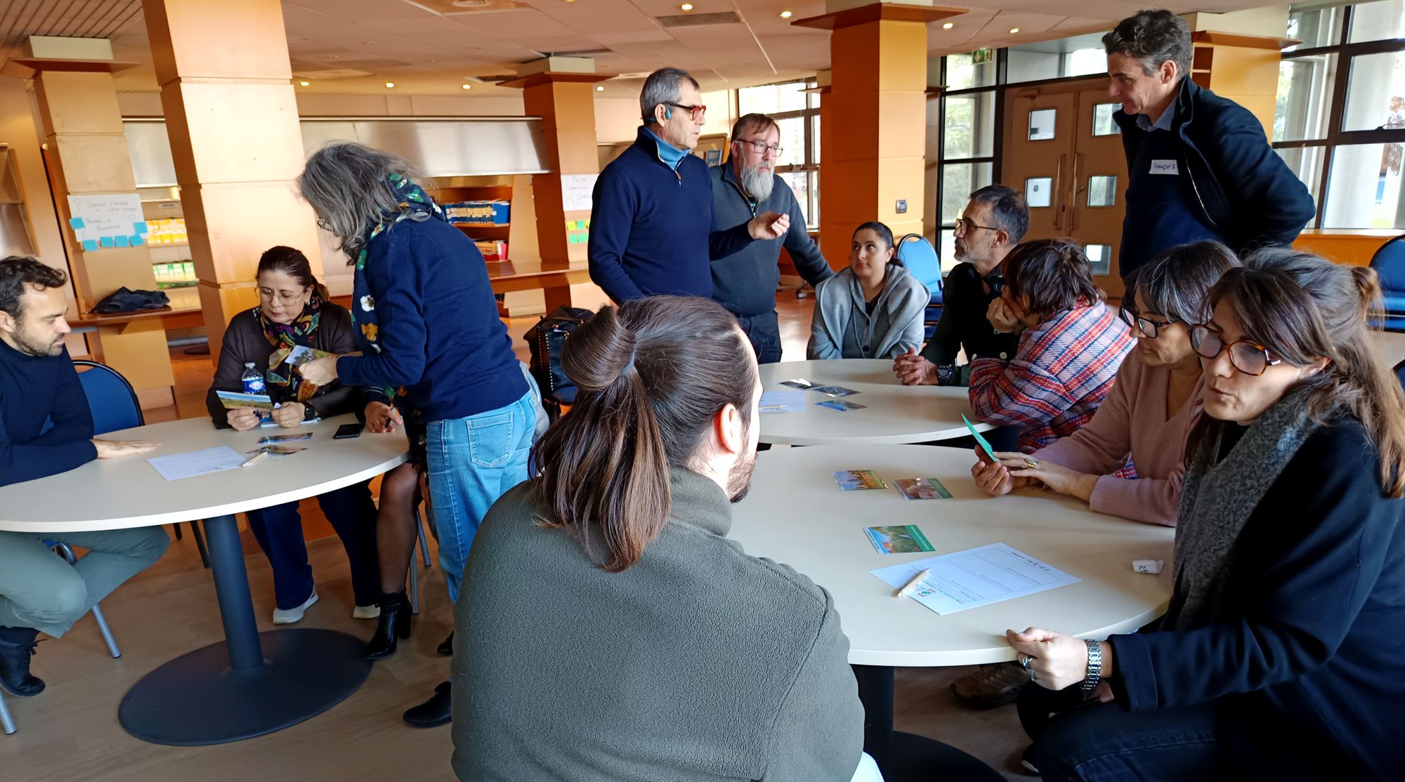 Un barracuda dans l'aïoli ?