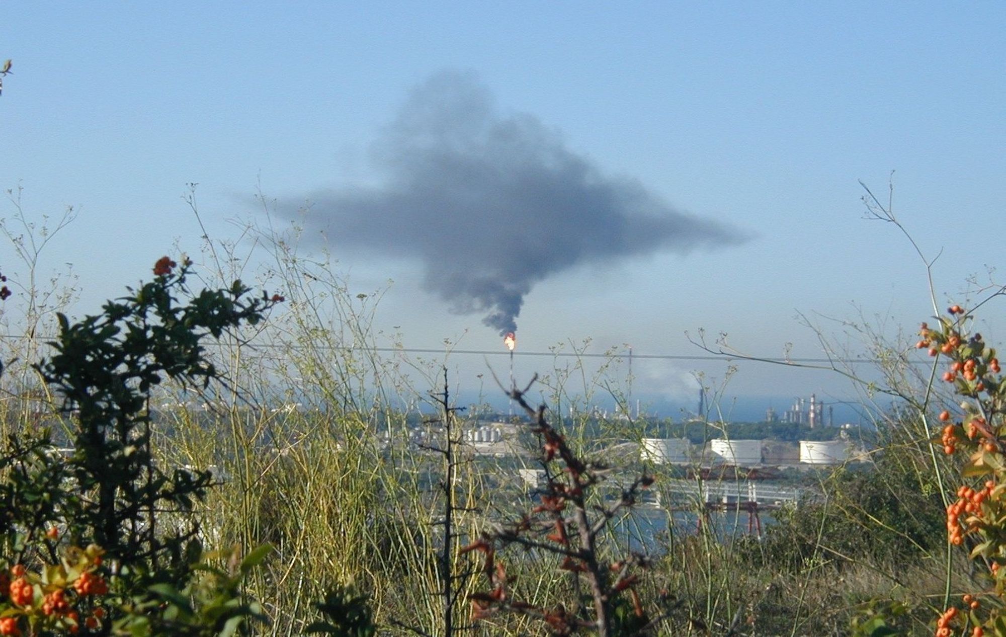 Missions et Rôle du SPPPI