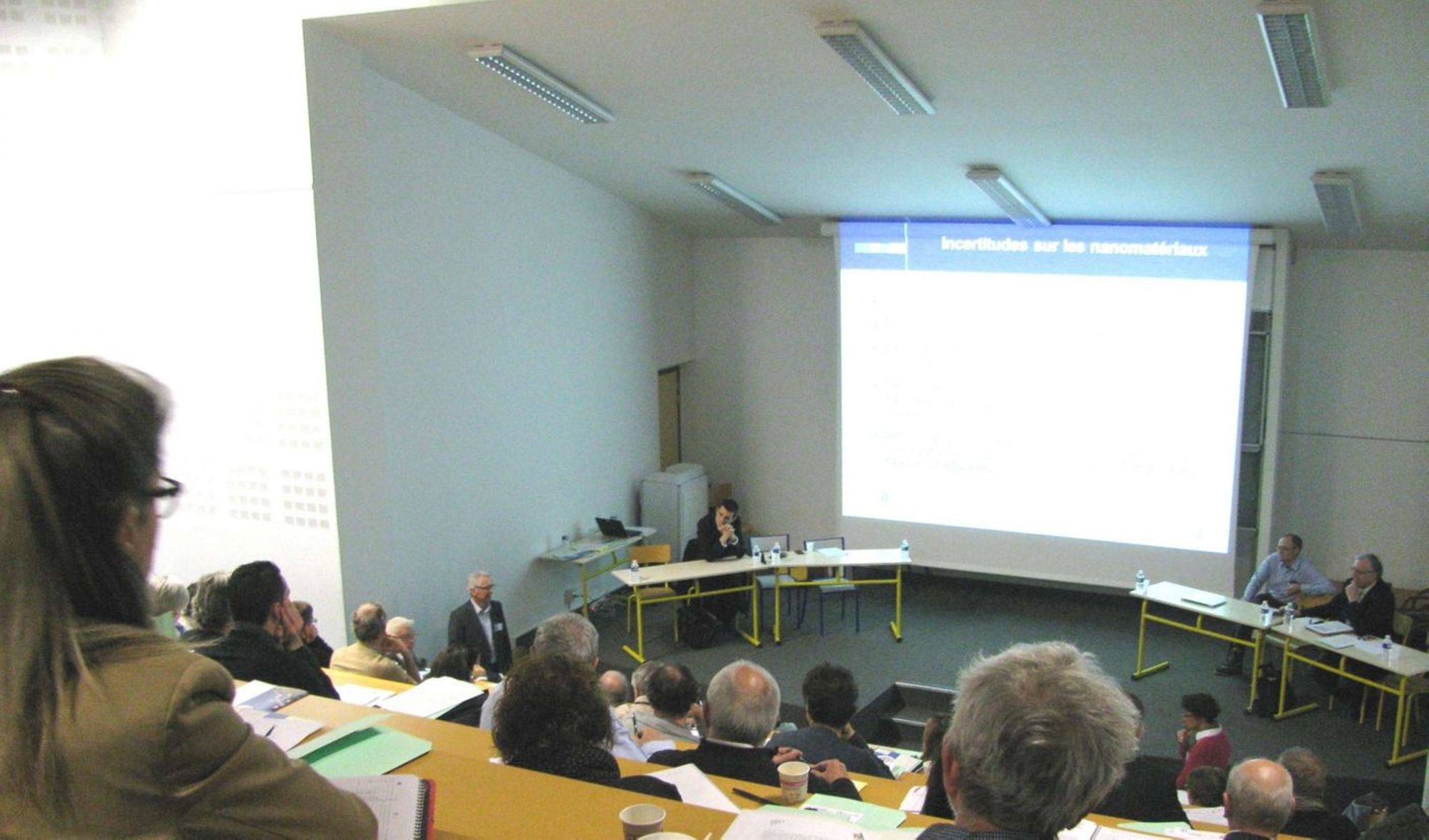 Nanotechnologies, nanomatériaux : l'action du SPPPI