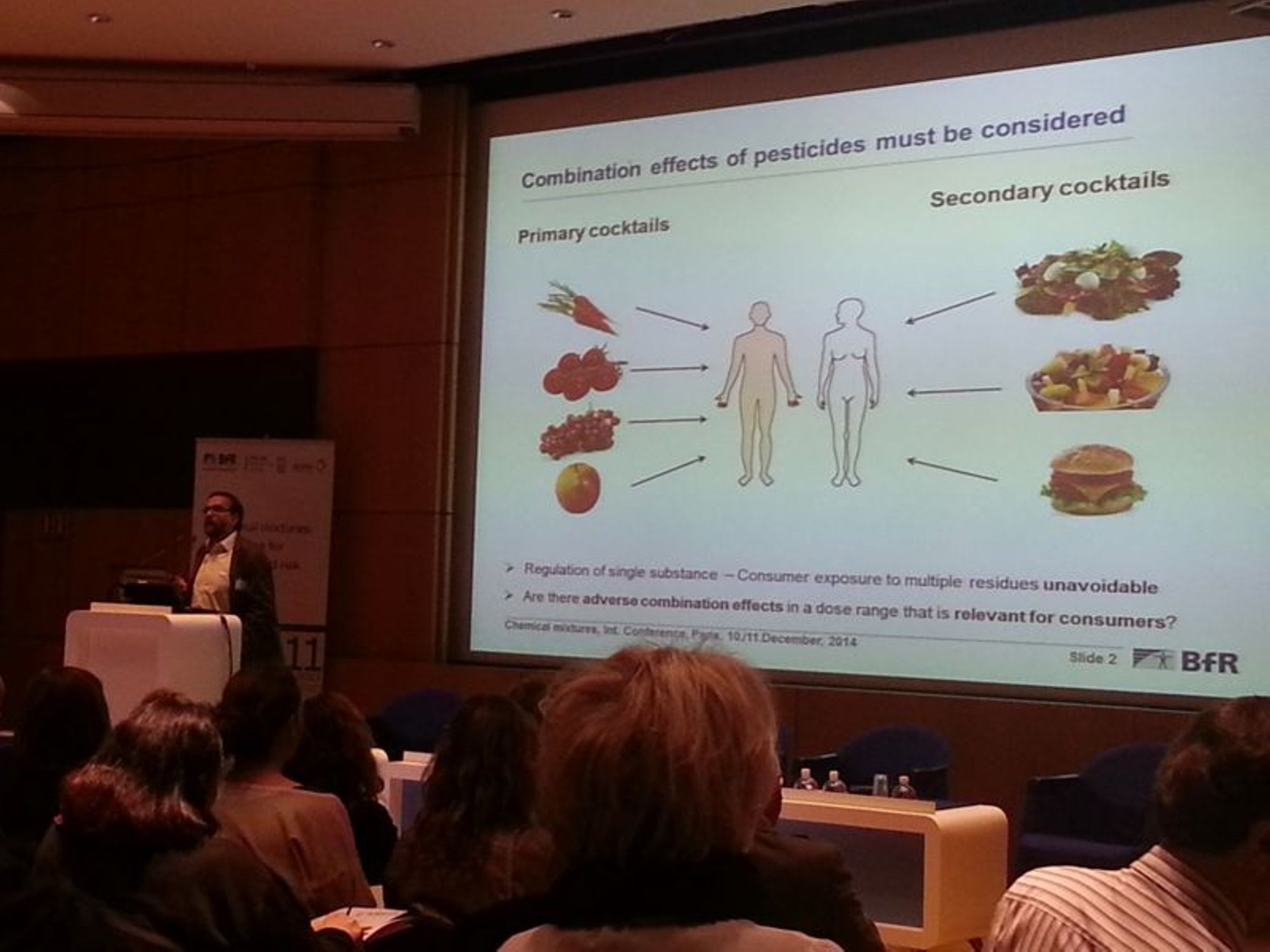 Effets cocktails, mélanges : où en est la recherche ? ANSES
