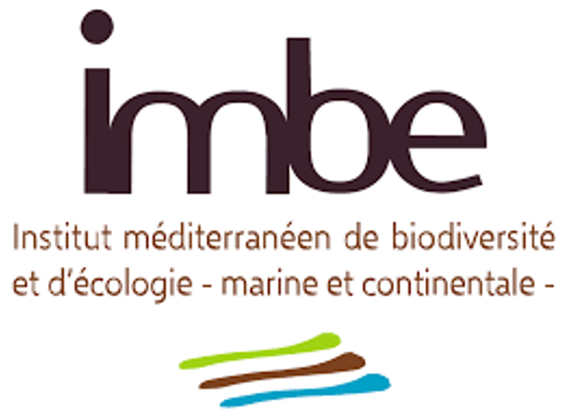 Logo IMBE