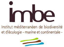 Logo IMBE