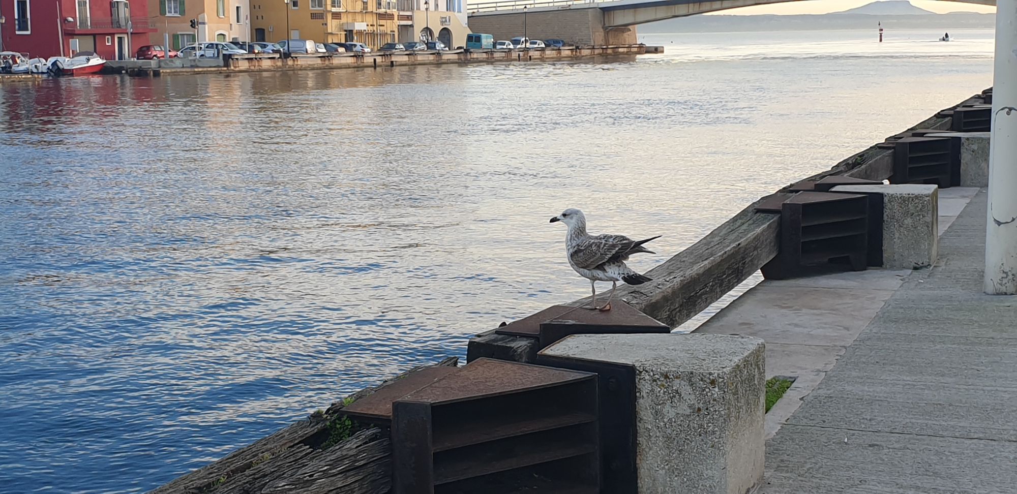 2011 : Un premier choix de sujets