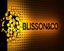 Blisson&Co
